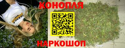 сатива Гусиноозёрск