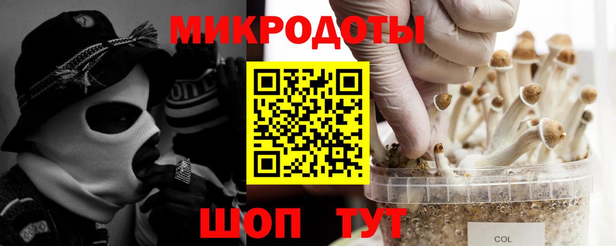 Галлюциногенные грибы прущие грибы  Вход с VPN  Галлюциногенные грибы Psilocybine cubensis  Москва 